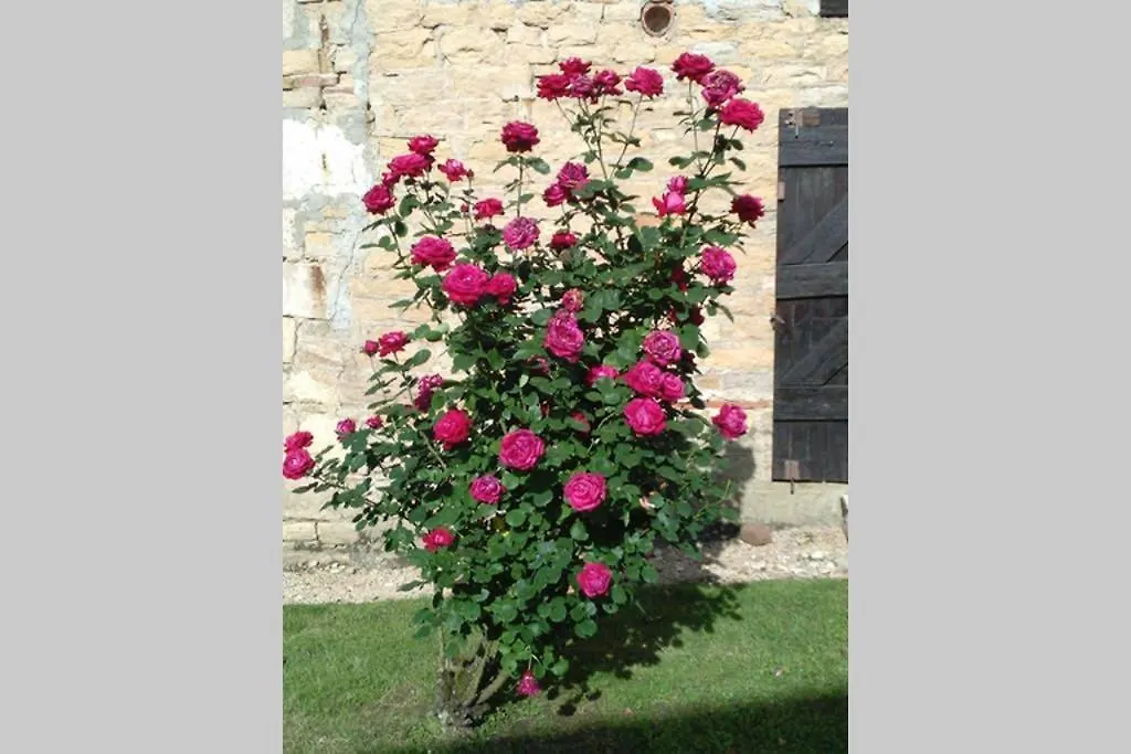 Gite De Charme 4 Etoiles - Campagne Genouilleux Apartment